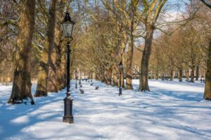 London Christmas party venue